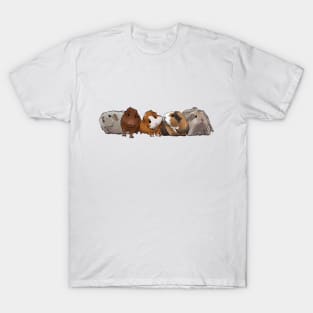 Current Guinea Pig Group T-Shirt